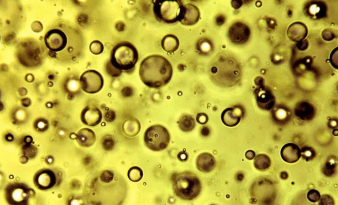 Stabilizzare l'olio extra vergine di oliva non filtrato grazie alle vitamine