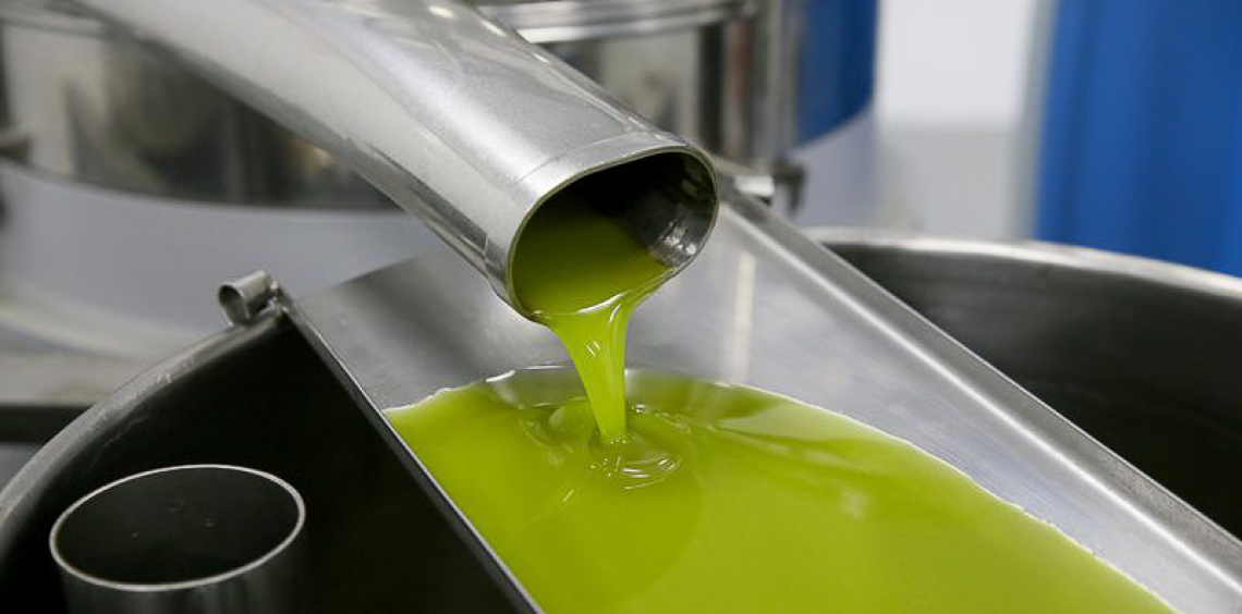 Ora la Spagna vara il piano nazionale per l'ammasso privato di olio d'oliva