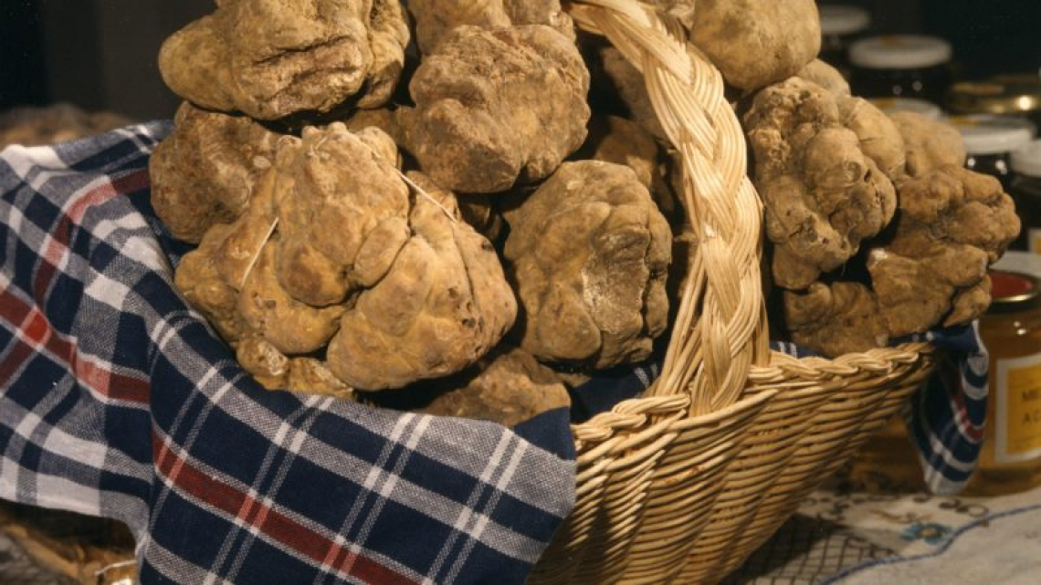 Fiera del Tartufo d'Asti è mostra mercato nazionale