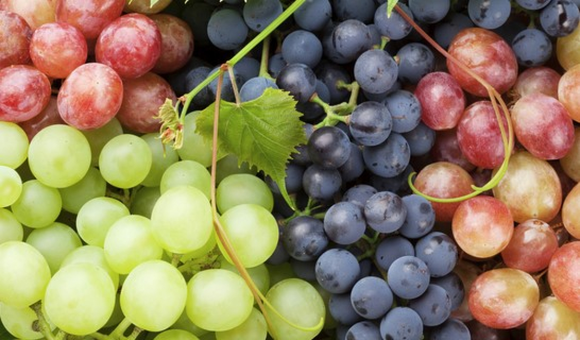 Nuova vita per l'uva da tavola italiana con export da record