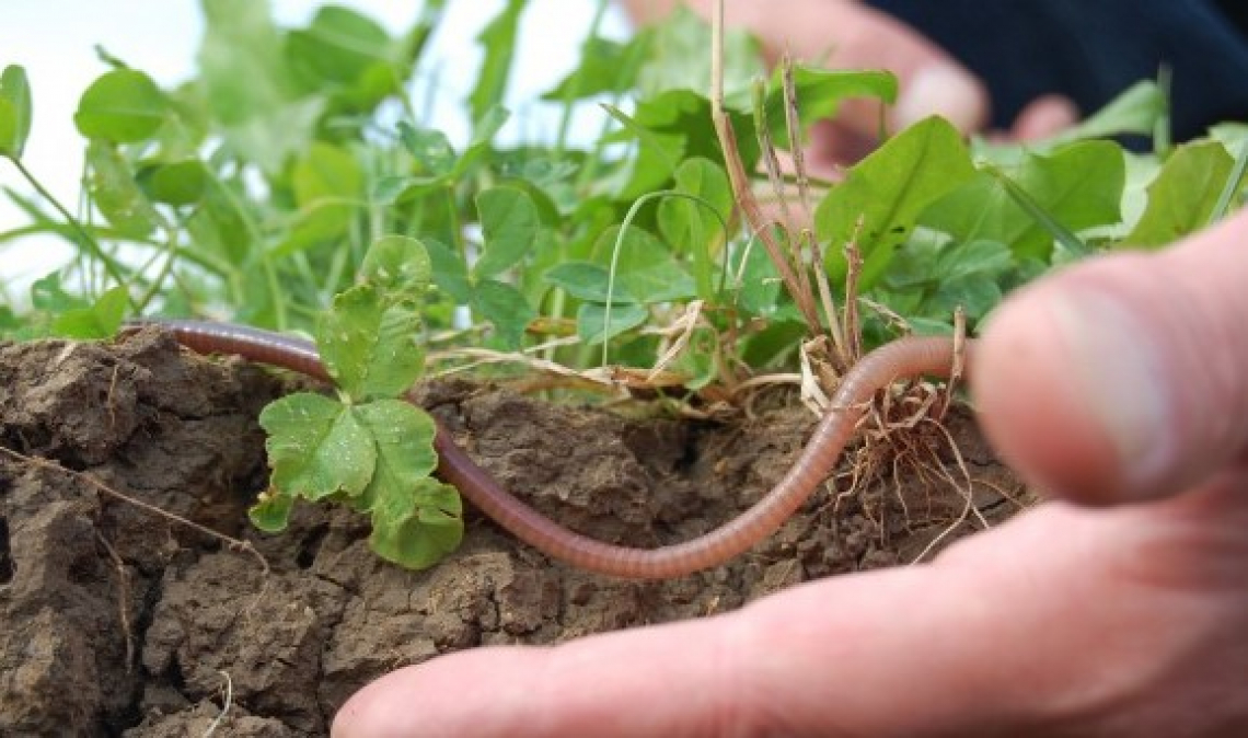 Un nuovo progetto di legge per tutelare e promuovere l'agricoltura contadina