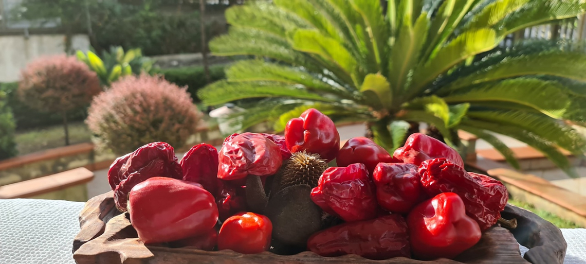 Slow Food celebra i 20 anni dei Pres&igrave;di, un successo per la biodiversit&agrave; italiana