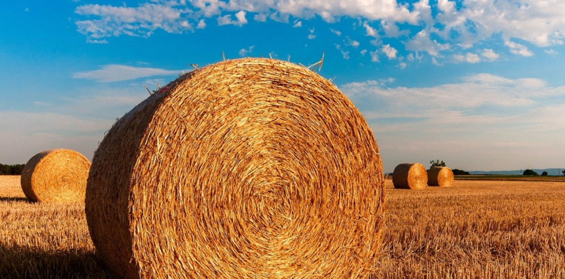 Il Parlamento europeo vuole una politica agricola più verde e equa
