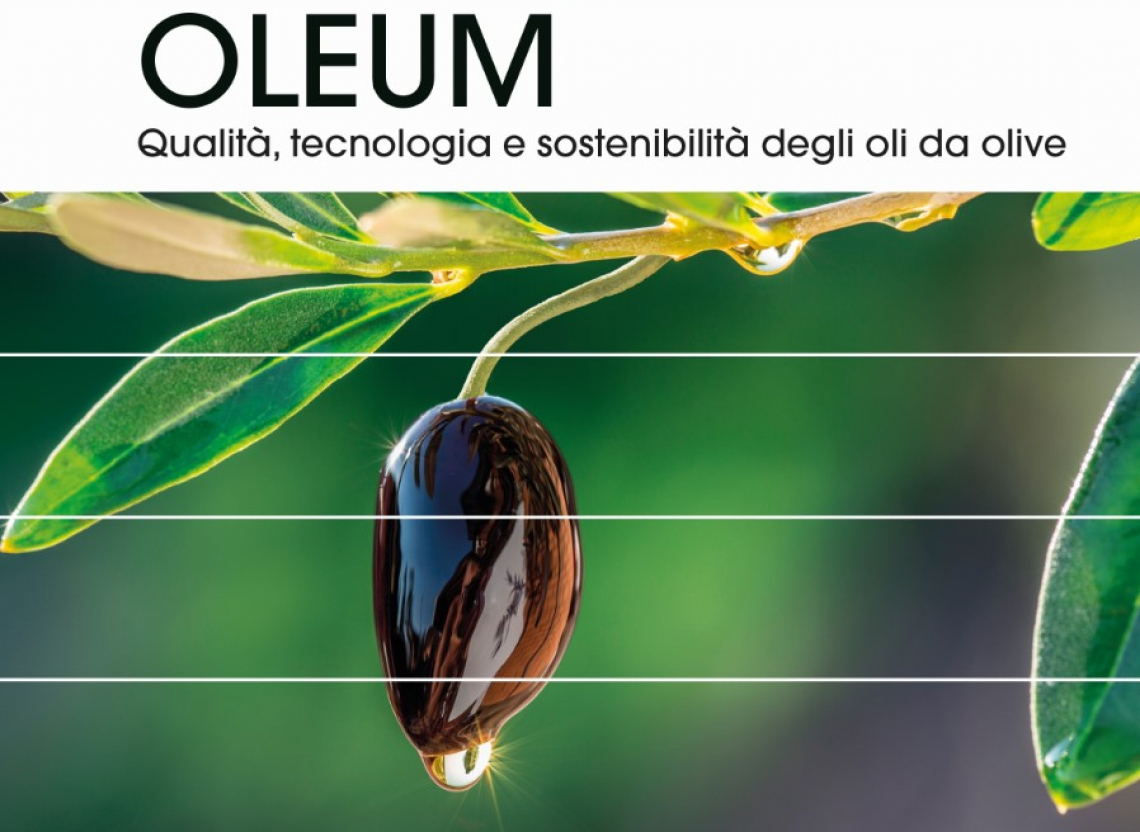 Oleum: tutto quello che dovete sapere sull’olio extra vergine di oliva e la sua produzione