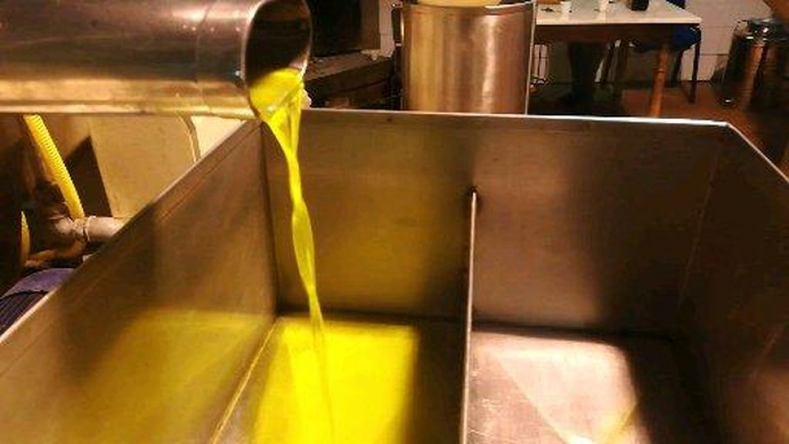 L'influenza dei parametri di lavoro del decanter sulla qualità dell'olio extra vergine di oliva