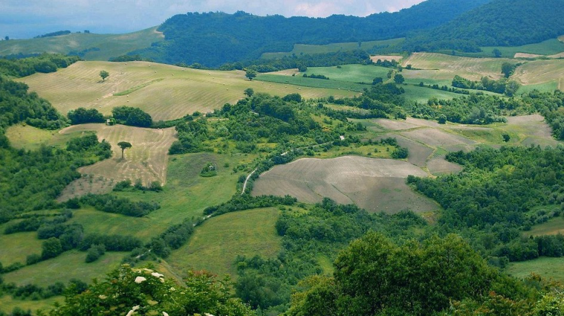 La Città Ideale dove ognuno vuole vivere è fatta di storia, tradizioni ma anche vino e olio