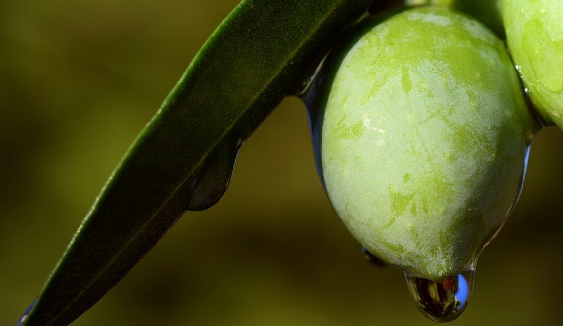 E' speculazione: olio extra vergine di oliva italiano sotto la soglia psicologica dei 5 euro/kg