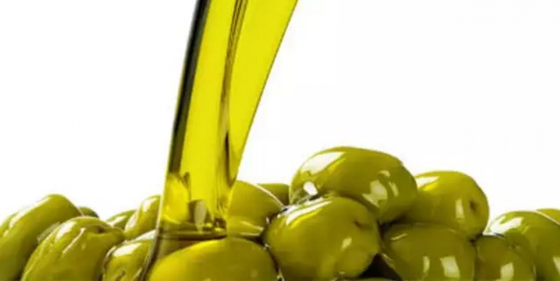 La produzione d'olio d'oliva si dimezza in Puglia