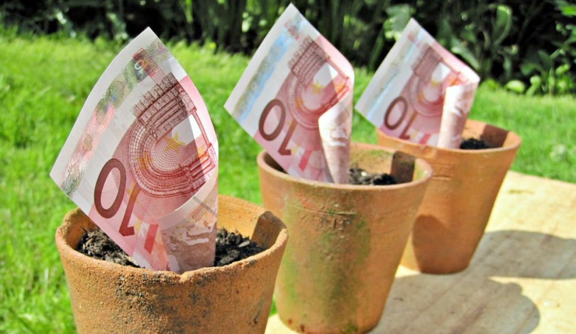 PNRR e fondi per l'agricoltura: obiettivi e opportunità