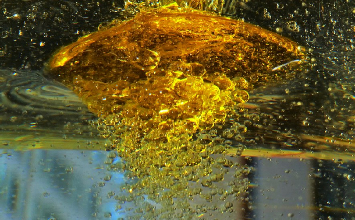 Accesso al Registro dell’olio d’oliva Sian solo con Spid