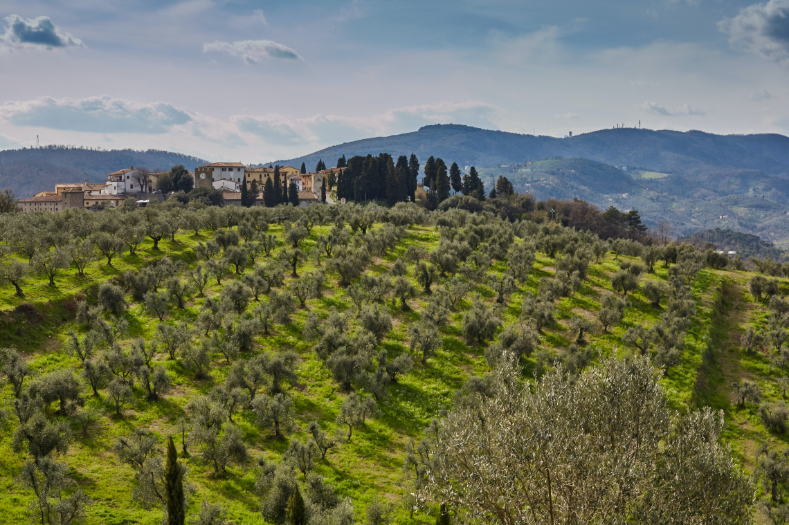 Quale valore attribuiscono i consumatori alle certificazioni sulle etichette dell'olio d'oliva?