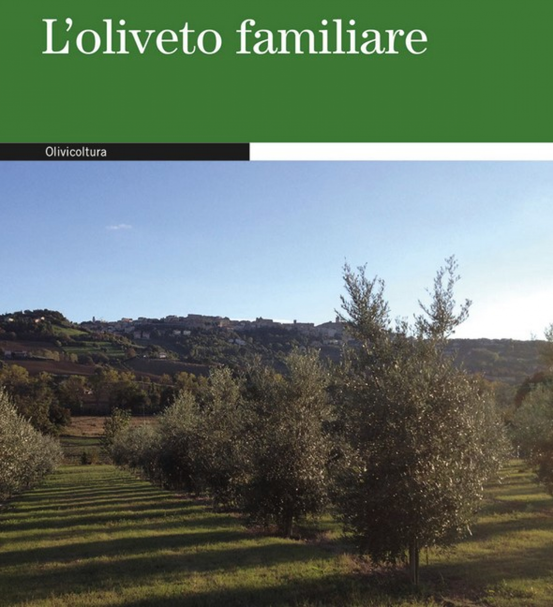 I segreti per un oliveto familiare perfetto