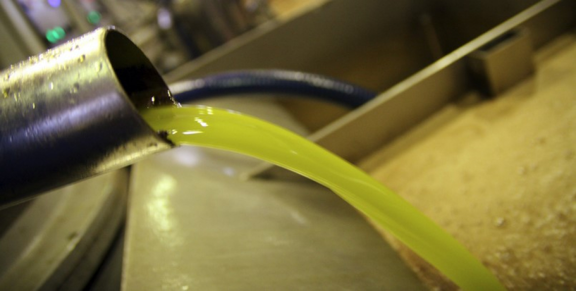 In Spagna si vende solo olio extra vergine di oliva della nuova campagna olearia