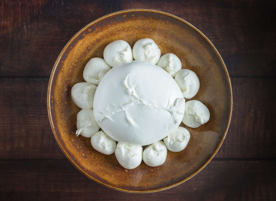 “Bufala Campana”, la prima Guida alla scoperta delle vie della Mozzarella Dop