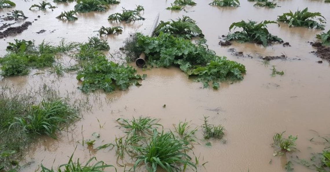 L'alluvione in Sardegna rovinerà i terreni agricoli per anni