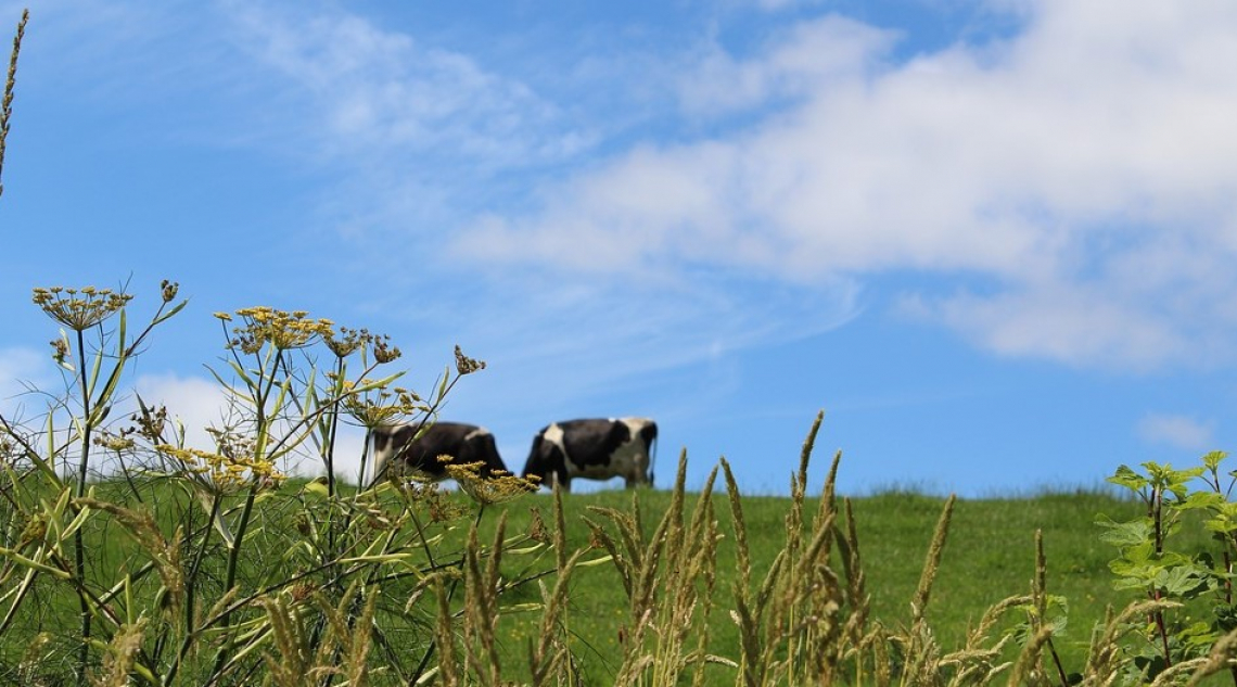 La rivoluzione agricola della Gran Bretagna post Brexit