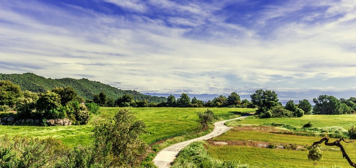 Dalla crisi Covid nuove opportunità per l'agriturismo