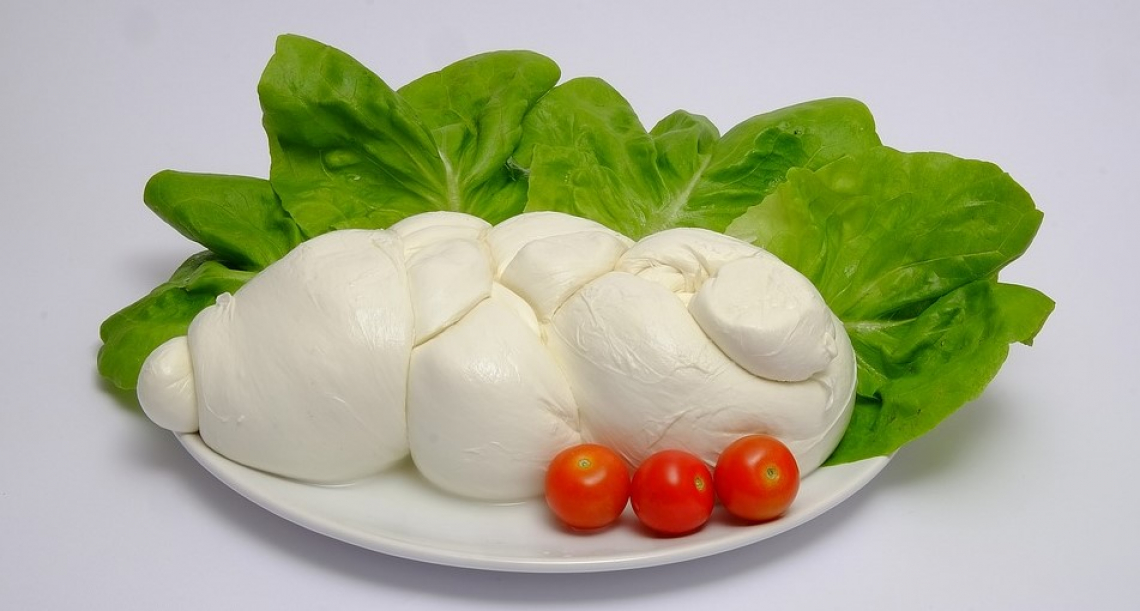 Mozzarella di bufala Dop: stop al latte congelato per produttori e consumatori