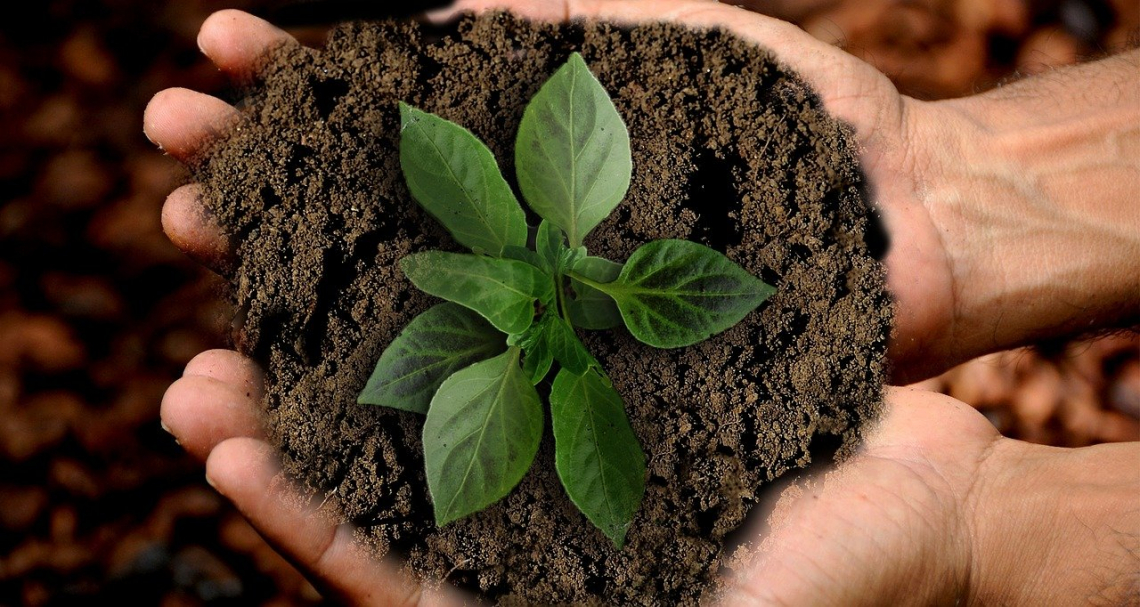 Gli Agronomi e Forestali entrano a far parte dell’Alleanza Italiana per lo Sviluppo Sostenibile