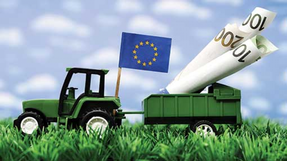 Nella futura Pac europea più competitività e tutela ambientale