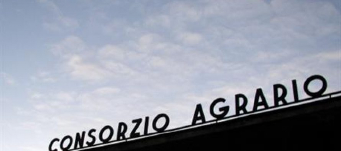 I consorzi agrari d'Italia sotto lo stesso tetto, come all'epoca di Federconsorzi