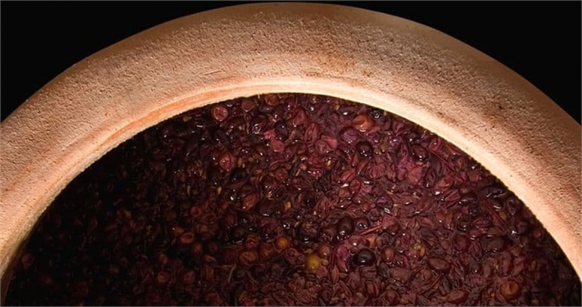 Cereali, olive e viti: prodotti da esportazione già 1000 anni prima di Cristo