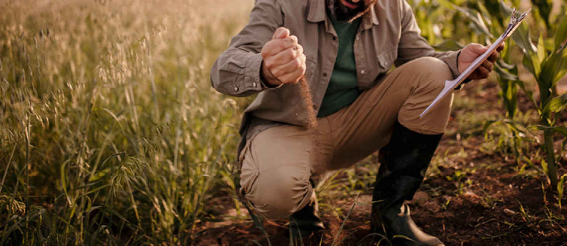 Lo strategico ruolo dei Dottori in Agraria e Forestali nel Piano nazionale di ripresa e resilienza, alias Recovery Plan