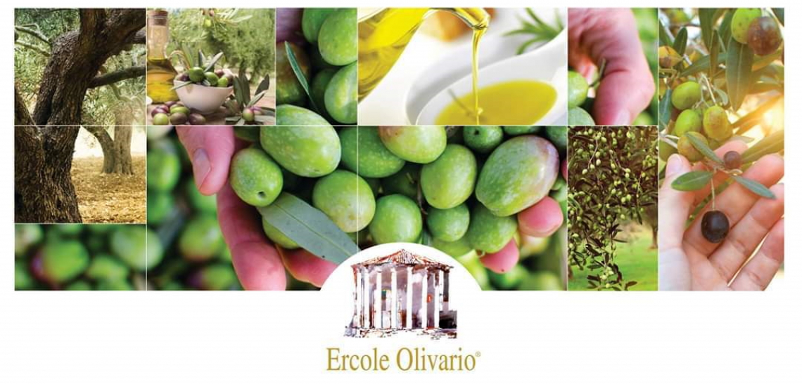 Primo appuntamento per l'Ercole Olivario sul turismo dell'olio