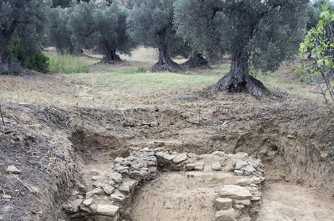 Scoperto in Basilicata un frantoio oleario del IV secolo a.C.