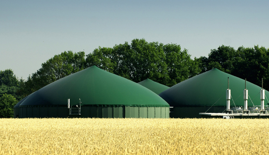 Occorre definire l'impiego delle sanse di oliva per la produzione agroenergetica