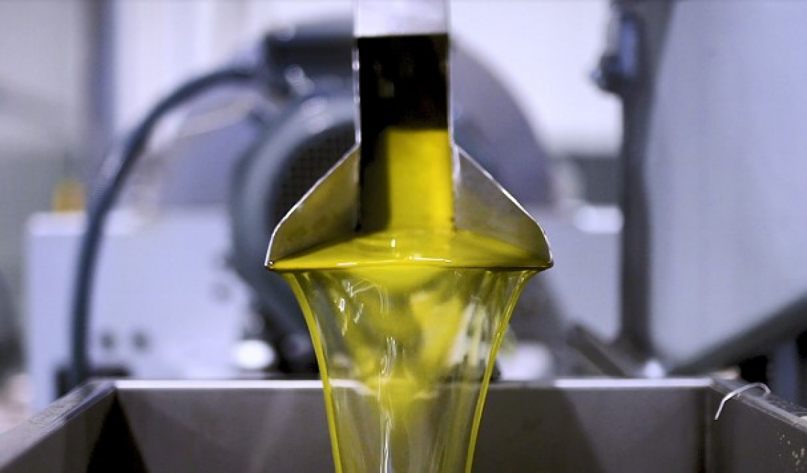 Conciliare qualità e quantità in frantoio è possibile: Olive Oil Booster