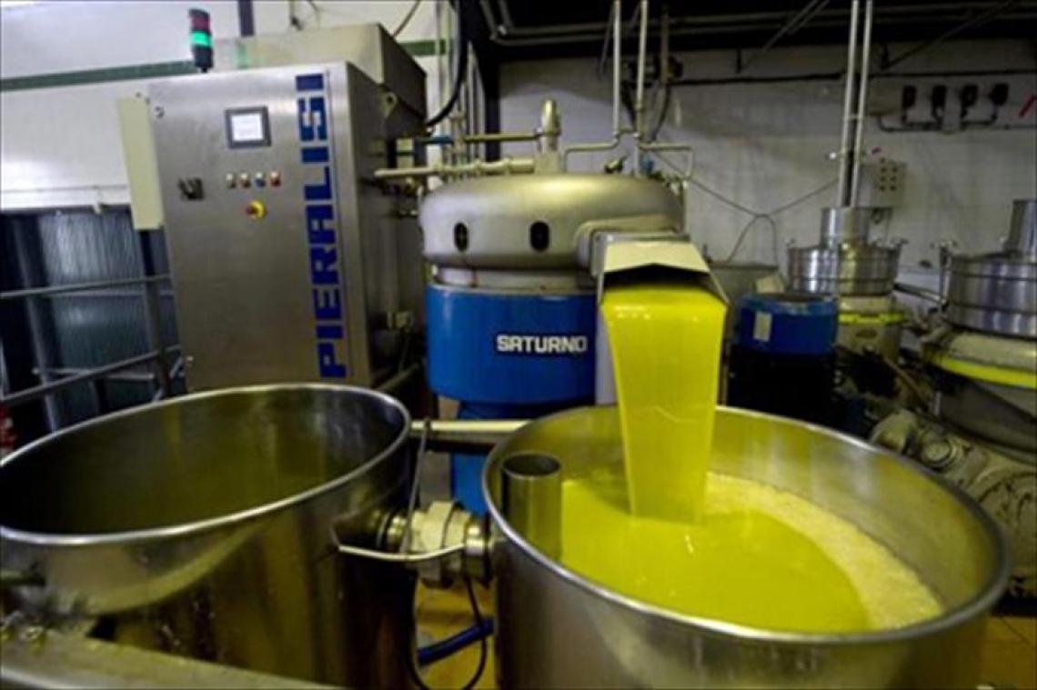 Poco sopra 2 milioni di tonnellate la produzione d'olio d'oliva in Europa