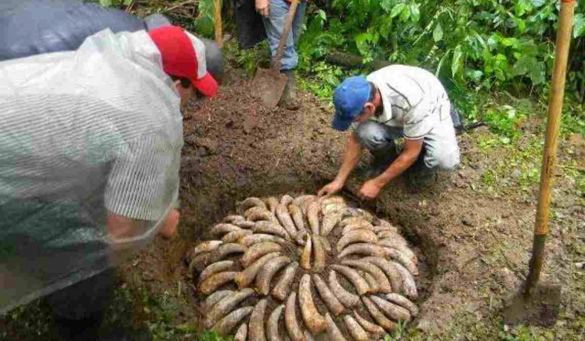 E' boom per l'export di prodotti da agricoltura biodinamica italiani