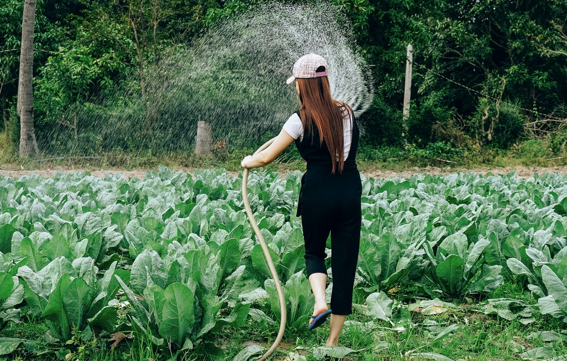 Grazie all'innovazione risparmiati 55 miliardi di metri cubi d'acqua negli ultimi 15 anni