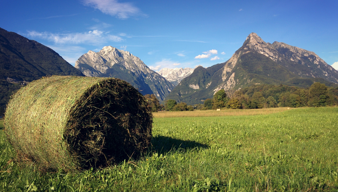 L’agricoltura in montagna ha bisogno di trattori dedicati