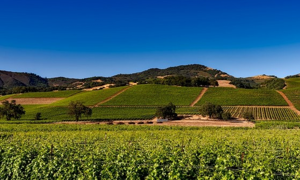 Montalcino e Napa: un gemellaggio nel segno di grandi vini