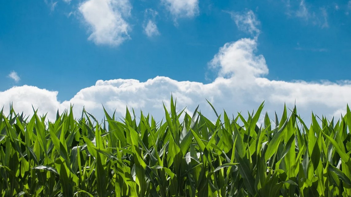 La riforma della Pac agita gli agricoltori di Francia e Spagna che scendono in piazza