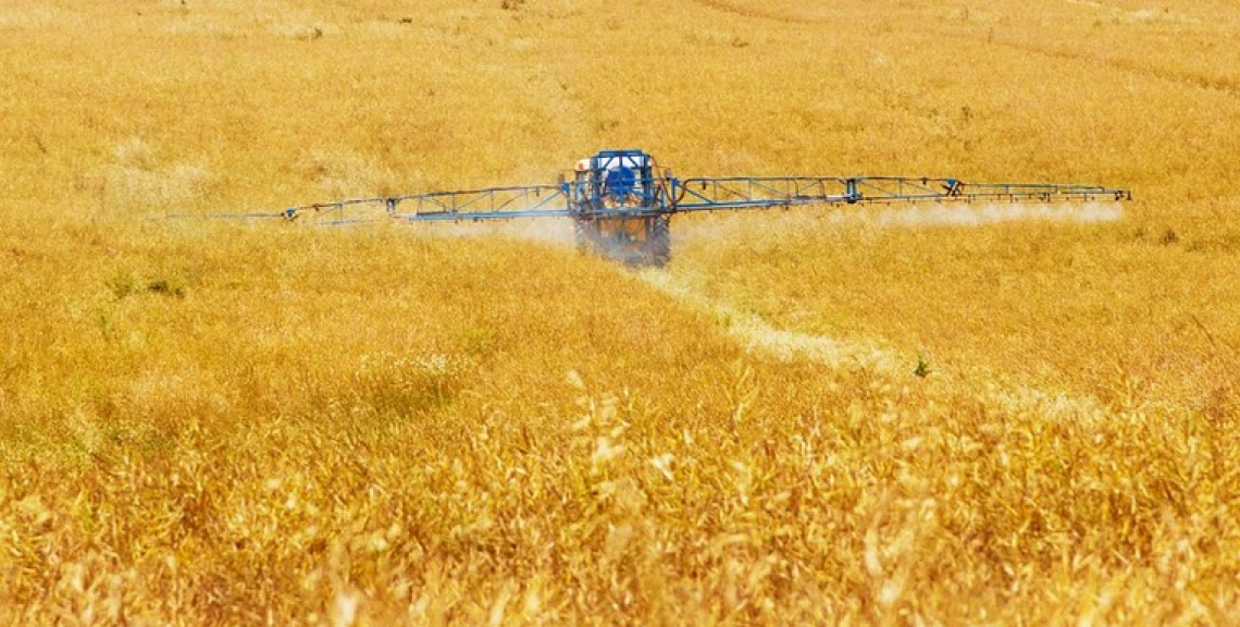 Pesticidi negli alimenti: Italia leader in Europa per controlli