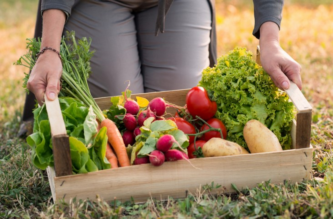 Il mercato del bio in Germania, Francia, Stati Uniti e Cina: numeri in crescita