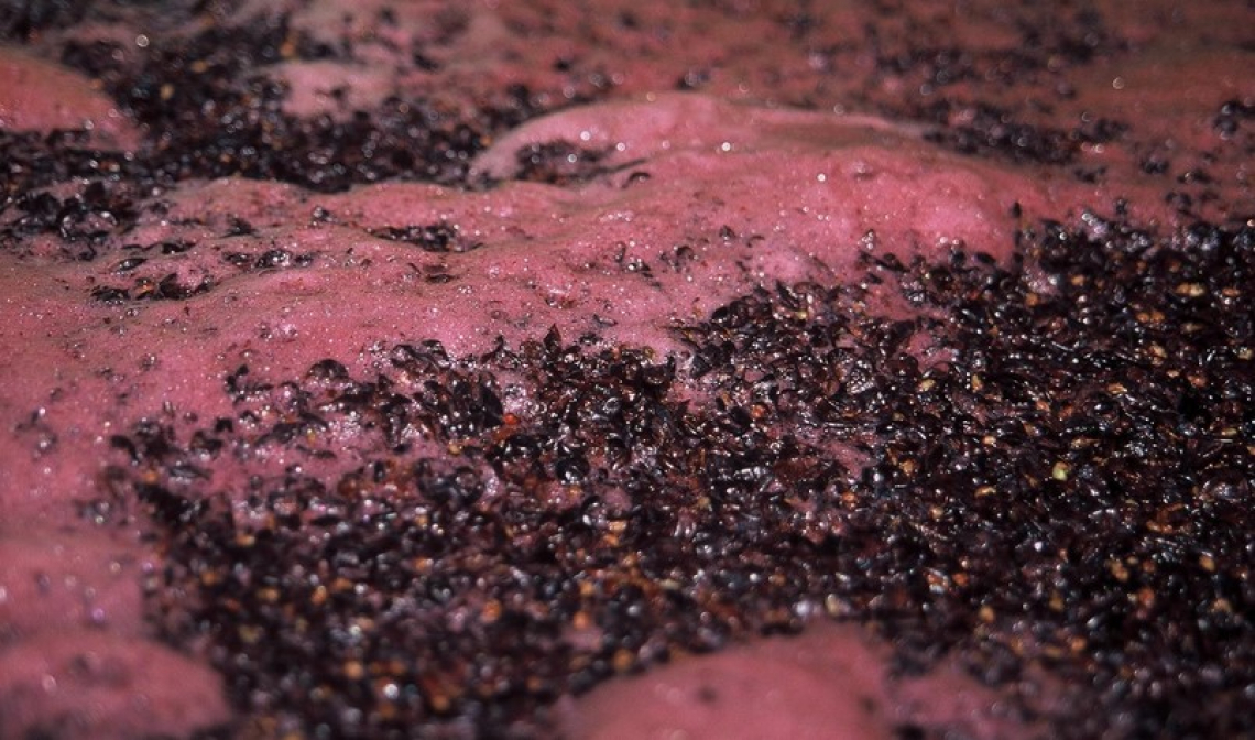 Utilizzare raspi e bucce d'uva al posto dell'anidride solforosa per stabilizzare il vino rosso