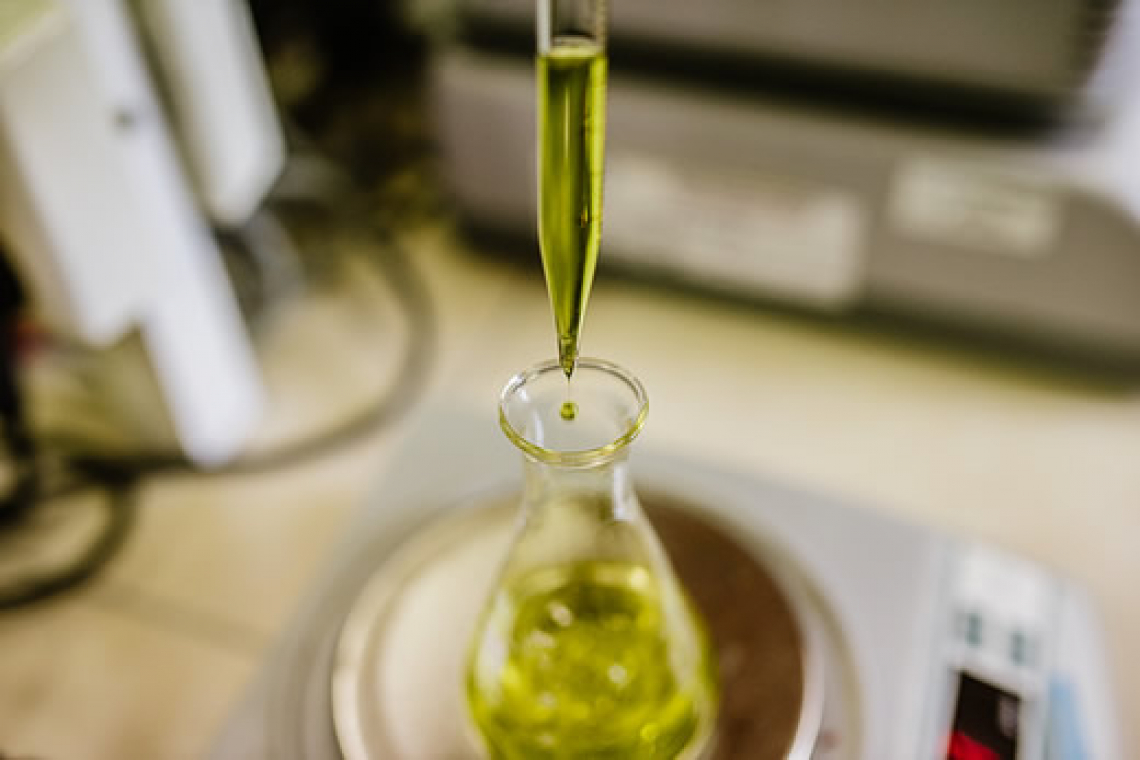 I composti minori dell'olio extra vergine d'oliva: marker di origine e adulterazione