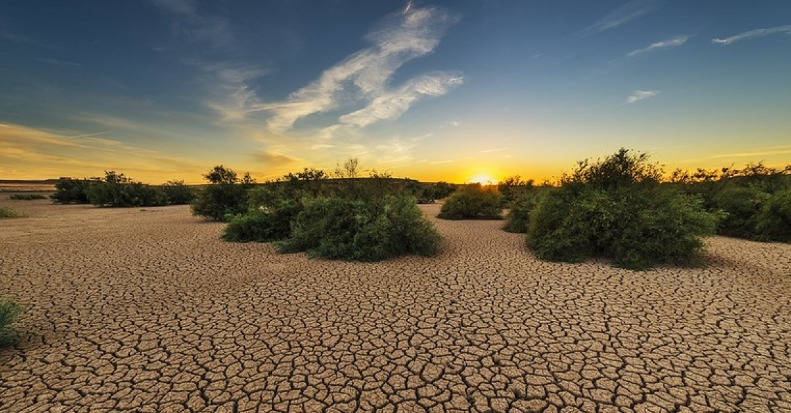 I microrganismi sono utili,  al servizio di agricoltura e ambiente