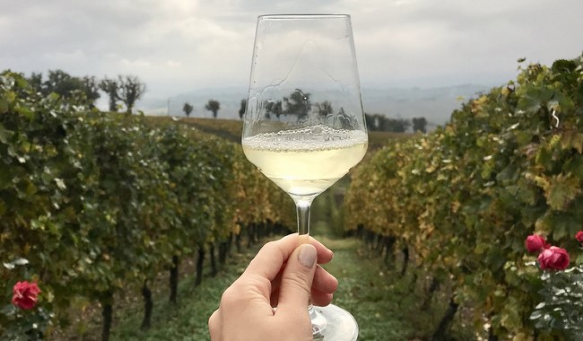 Le Marche finanziano progetti promozionali e di degustazione dei prodotti alimentari di qualità