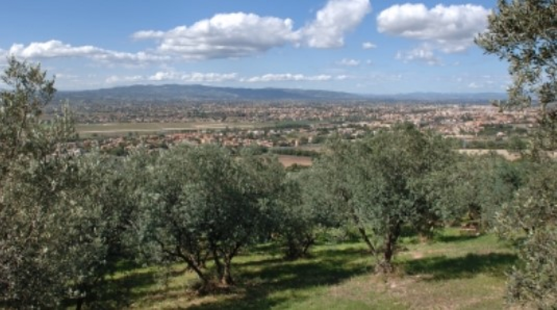 Passeggiate e buon gusto: l'olivo e l'olio in Umbria