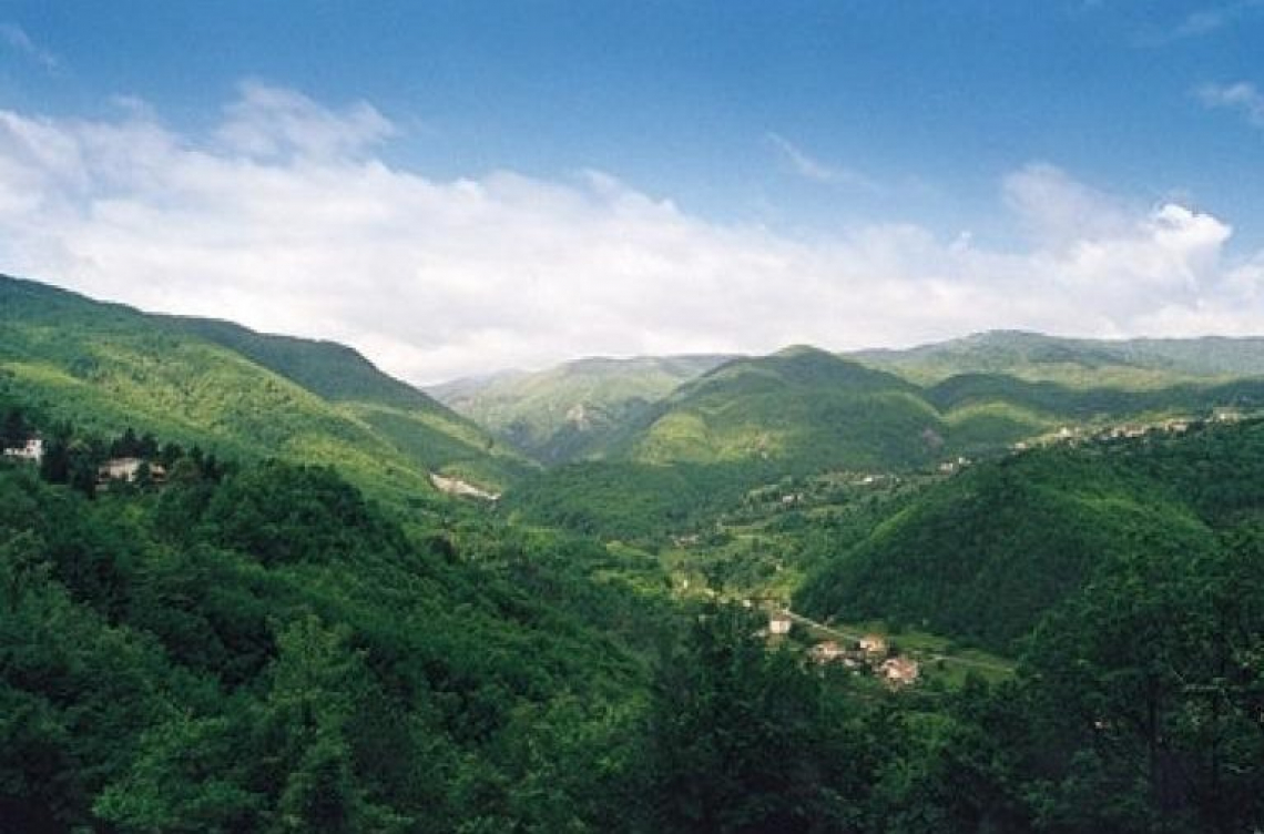 Una camminata tra i sentieri dell'Alta Valtaro per scoprire la natura