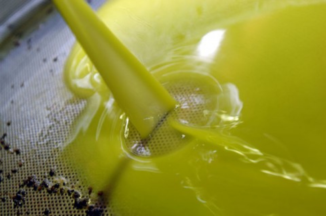 Le riaperture spingono i consumi di olio extra vergine di oliva nazionale