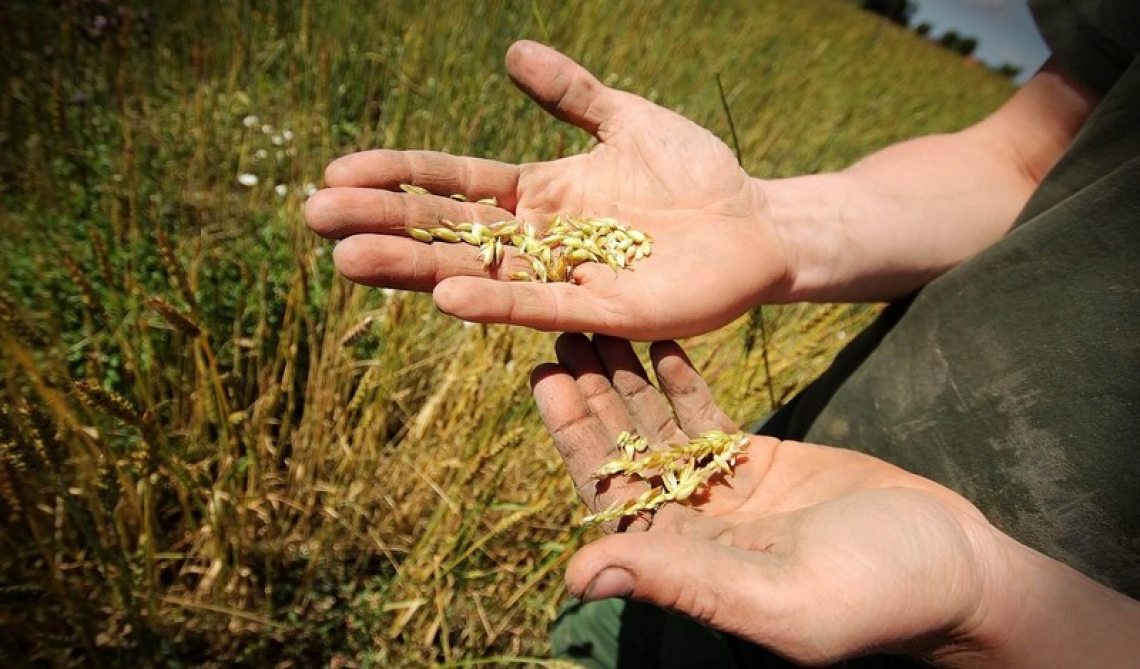 Occorre il riconoscimento della figura di agricoltore custode dell'ambiente e del territorio