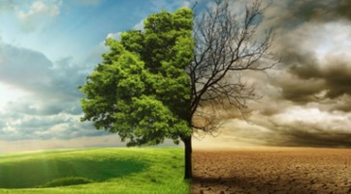 Il cambiamento climatico minaccia un terzo della produzione alimentare globale