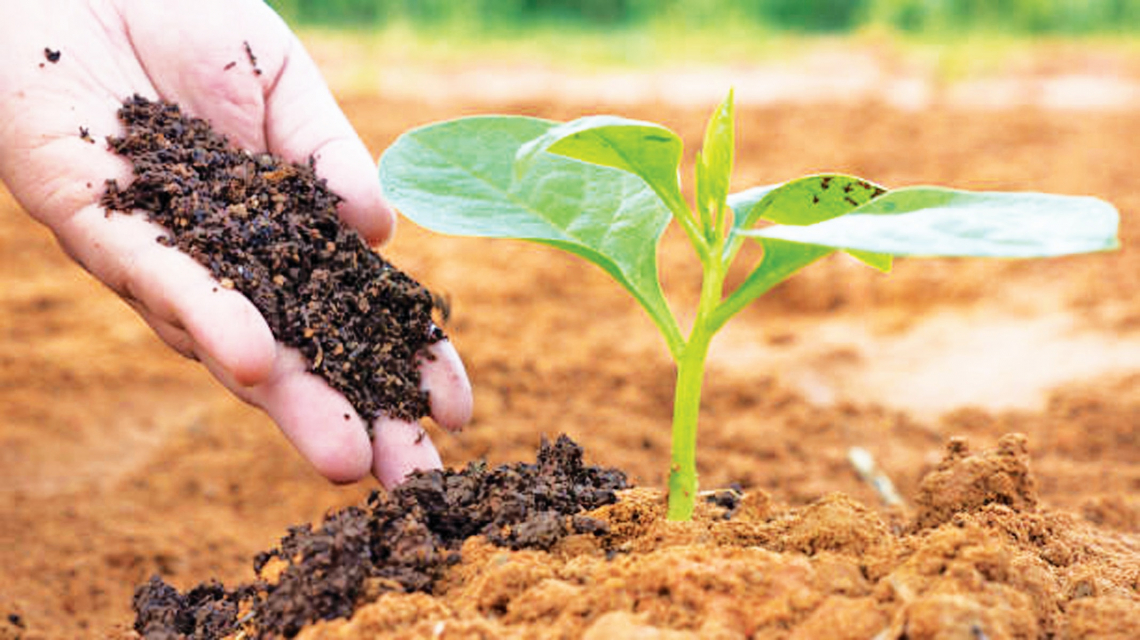 Approvata in Senato la legge sull'agricoltura biologica