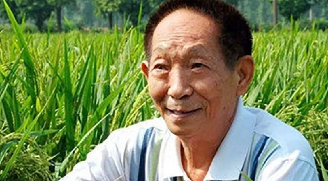 Yuan Longping, un ricordo dell'agronomo che sfamò la Cina